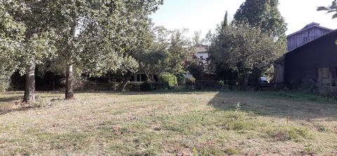 photo no. 24