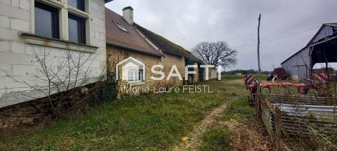 photo no. 8