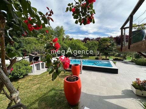 photo no. 13
