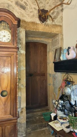 photo no. 11
