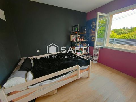 photo no. 5