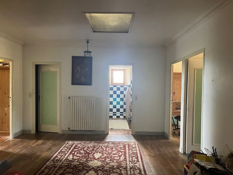 photo no. 11