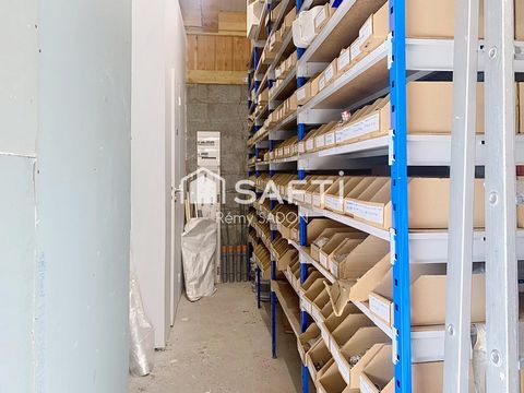 photo no. 2