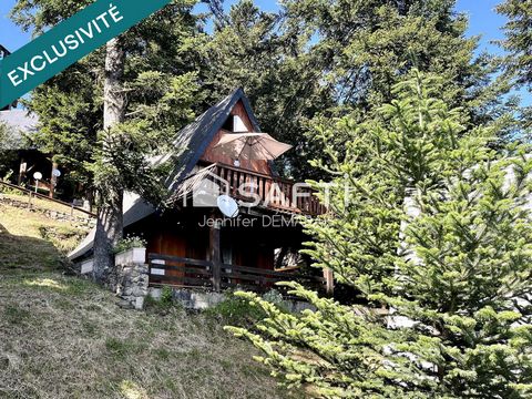 CHALET MEUBLE 4 PIECES 55 M2 USTOU/GUZET NEIGE