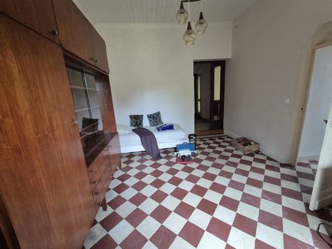photo no. 10