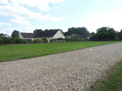 photo no. 3