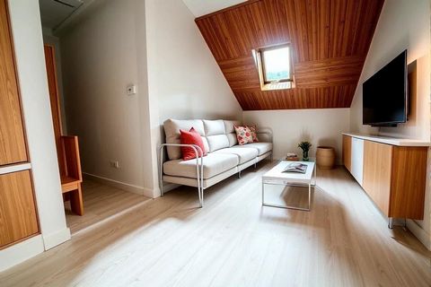 photo no. 10