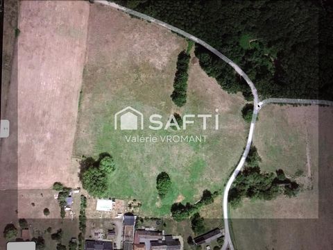Grand terrain pour pâture et animaux