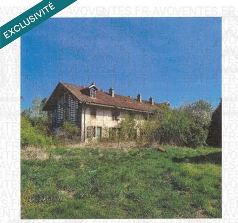 photo no. 4