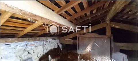 photo no. 12