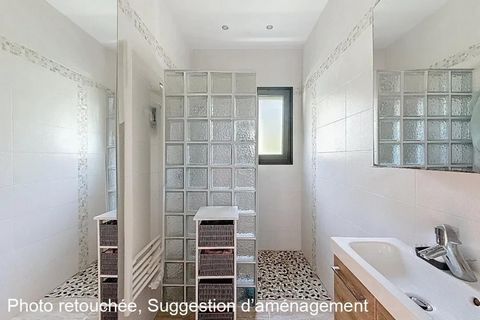 photo no. 12