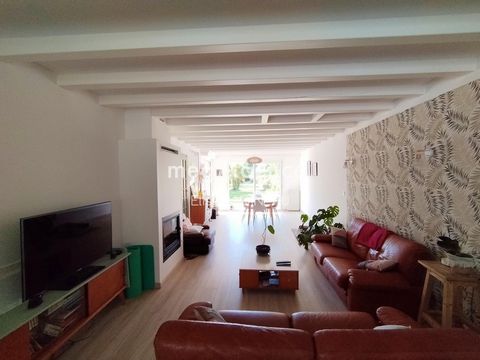 photo no. 4