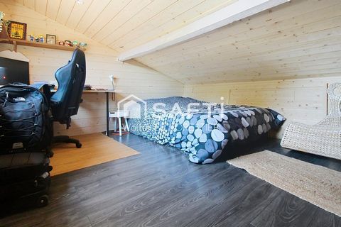 photo no. 11