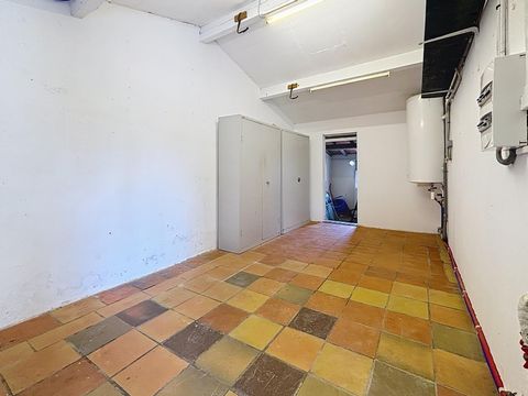 photo no. 11