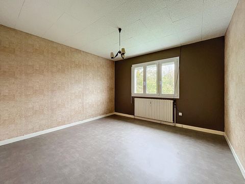 photo no. 6