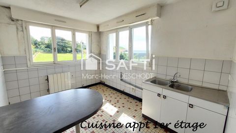 photo no. 11