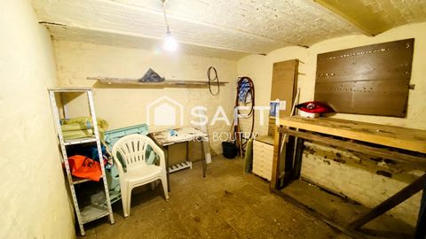 photo no. 11