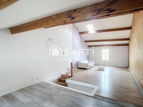 photo no. 12