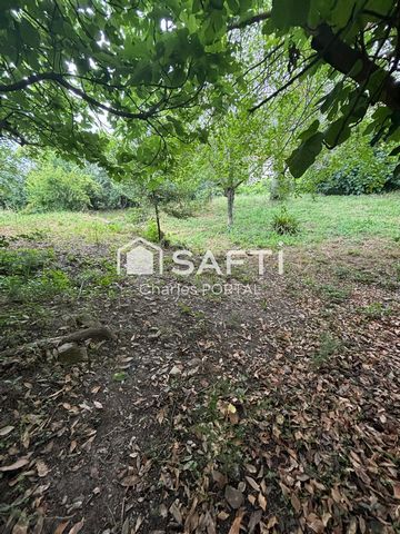 photo no. 1