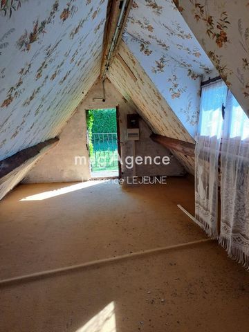 photo no. 10