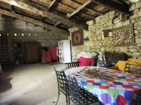 photo no. 16