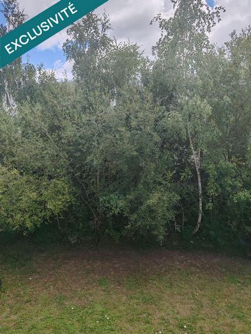 photo no. 19