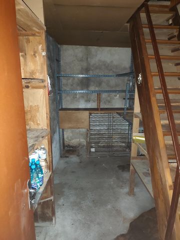 photo no. 5