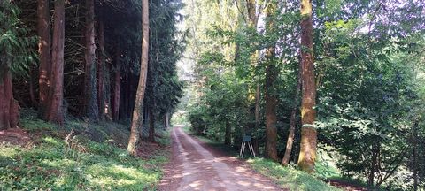 FERMETTE DE 130M² AVEC 4 CHAMBRES SUR UN MAGNIFIQUE TERRAIN DE 15000M²