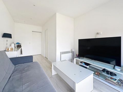 photo no. 10