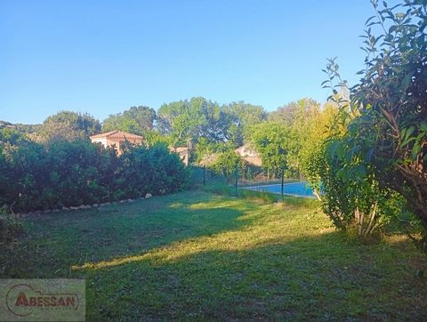 photo no. 14