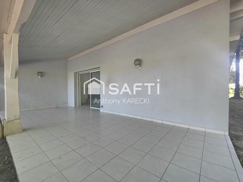 photo no. 6