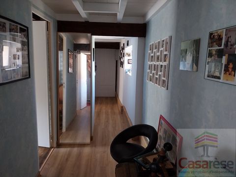 photo no. 9