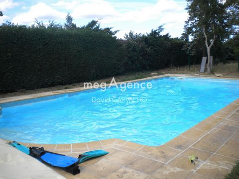 photo no. 11