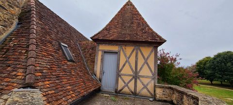 photo no. 31