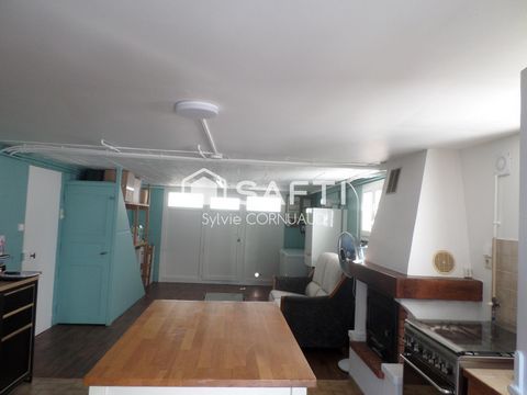 photo no. 8