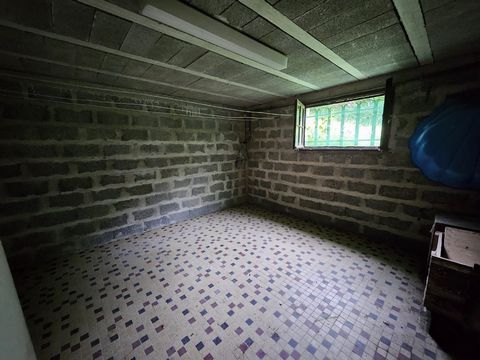 photo no. 12
