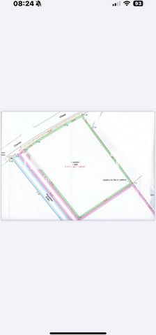 photo no. 6