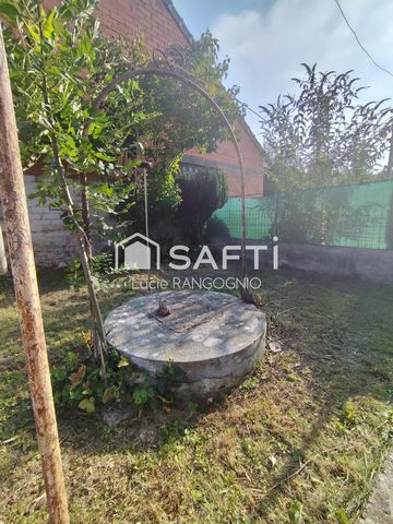 photo no. 10