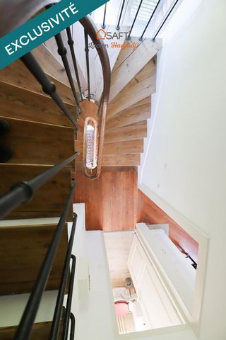 photo no. 11