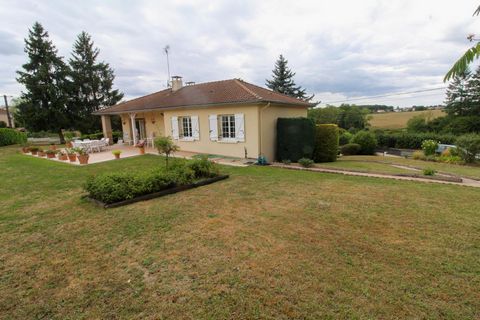 photo no. 14