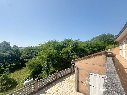 photo no. 8