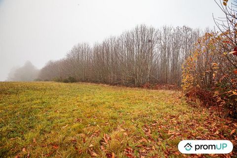 Pageas est une commune accueillante intégrée au parc naturel régional Périgord- Limousin, un lieu magnifique et ressourçant qui va ravir les amoureux de la nature. Le bourg est également idéalement situé géographiquement près de l’axe RN 21 Limoges-P...