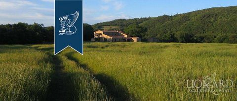 Luxury home for sale in Maremma in Tuscany, Italy, on the border between Siena and Grosseto. The estate is in the middle of 70 hectares of land divided into different cultures: 4 hectares are cultivated with vine yards, 24 hectares of arable land, 4,...