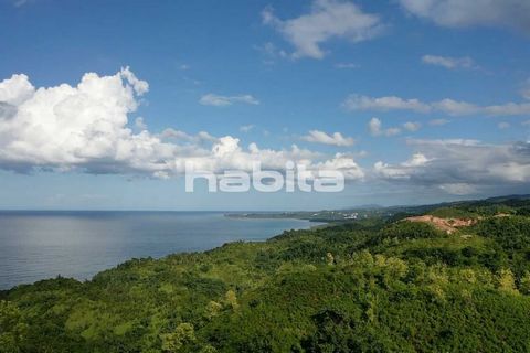 Dozens of mountain chain dominitaing the view of the ocean covered by vegetation, for peaceful developments. Owner starts with lots of 200,000 m2, 20 us per m2. There are over 1 million m2 available. Come down here and build ocean view villas or cond...