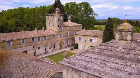 Superb castle in wonderful, quiet location. This listed building was constructed in the 17th - 18th centuries. Just wow - Majestic Chateau ideally located close to the Roman walled town of Aigues-Mortes and the beaches, away from any noise and nuisan...