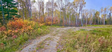 This wooded lot has an area of 14,243.90 m2. Electricity and fiber optic network possible. Enjoy your visit! INCLUSIONS -- EXCLUSIONS --