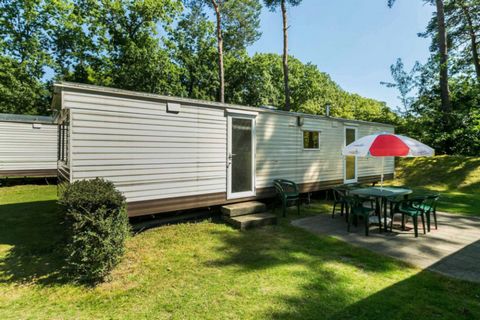 Oostappen Vakantiepark De Berckt is located in the castle village Baarlo, in the beautiful hilly landscape of Limburg. The theme of 'knights' and 'ladies' is central to this holiday park. Immediately upon your arrival you will feel like you are in th...