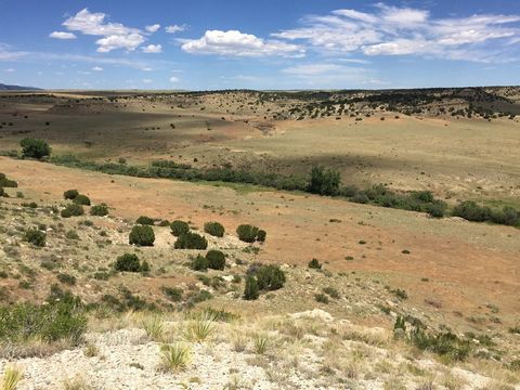 Apache Creek Ranch includes two adjoining parcels - 35+ acres and 38+ acres - with stunning mountain views, agricultural zoning, and no HOA or covenants. Located in quiet Colorado ranching county, this would make an outstanding horse property or smal...