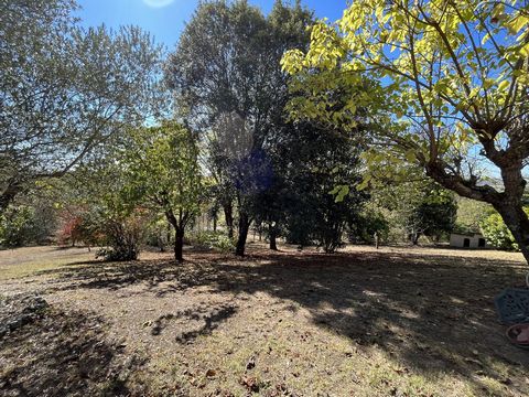 photo no. 13