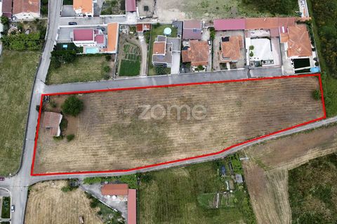 Identificação do imóvel: ZMPT567910 Terreno para Venda Terreno de 7500 m² em Freamunde, Paços de Ferreira - Porto Localização: - Situado a apenas 1 km do centro de Freamunde, uma localização privilegiada e de fácil acesso a todas as comodidades urban...